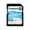 Карта памяти Kingston SDG3/256GB SD 256GB