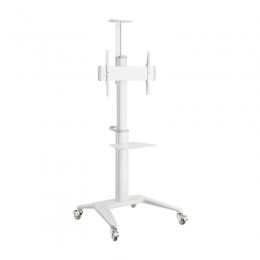 Стойка мобильная Brateck TTV12-46TW