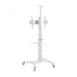 Стойка мобильная Brateck TTV12-46TW