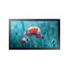 Интерактивный дисплей Samsung QBR-T 13\