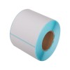 Термоэтикетки в рулоне Europrint EPLE-100.100.1670.76 (1 рулон)