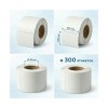 Термоэтикетки в рулоне Europrint EPLE-100.100.300.40 (2 рулона)