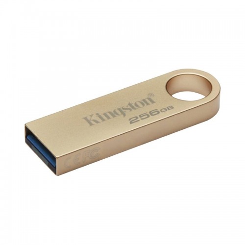 USB-накопитель Kingston DataTraveler SE9 G3 DTSE9G3/256GB 256GB Золотистый