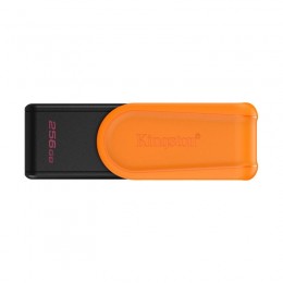 USB-накопитель Kingston DTXS/256GB 256GB