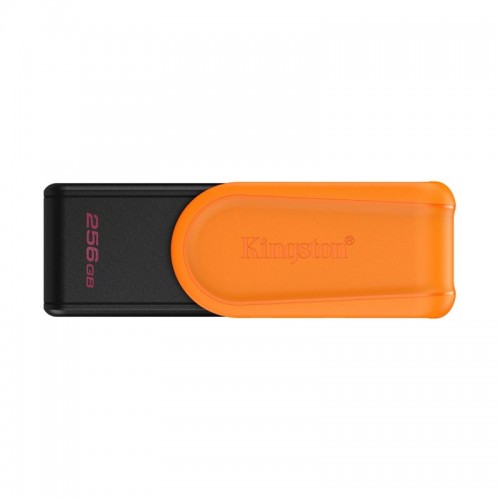 USB-накопитель Kingston DTXS/256GB 256GB