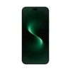 Абонентский терминал Huawei Nova 15 PSN-LX9 12GB RAM 512GB ROM Green