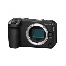 Цифровой фотоаппарат CANON EOS R6 V BODY V2.4